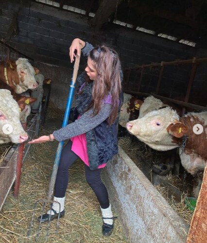 milica tomasevic muze krave kosovo instagram foto video