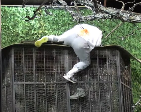 kristijan golubovic pao zadruga video