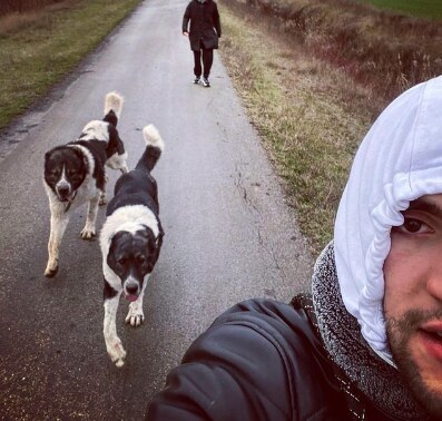 veljko raznatovic oglas psi pobesneo instagram