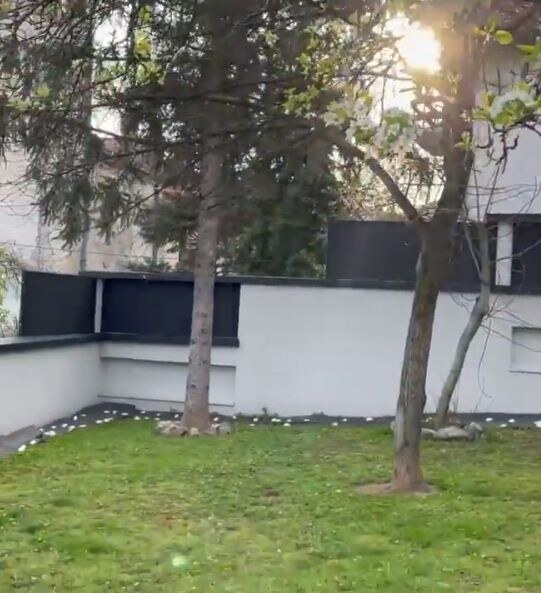 rados bajic supruga milena foto