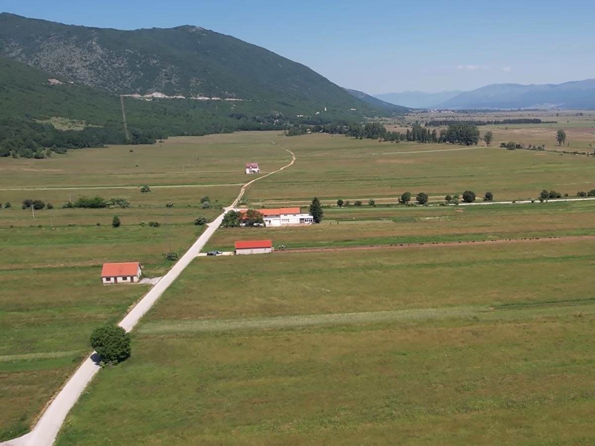 Vratila se iz Njemačke da uzgaja crne svinje  (4).jpg