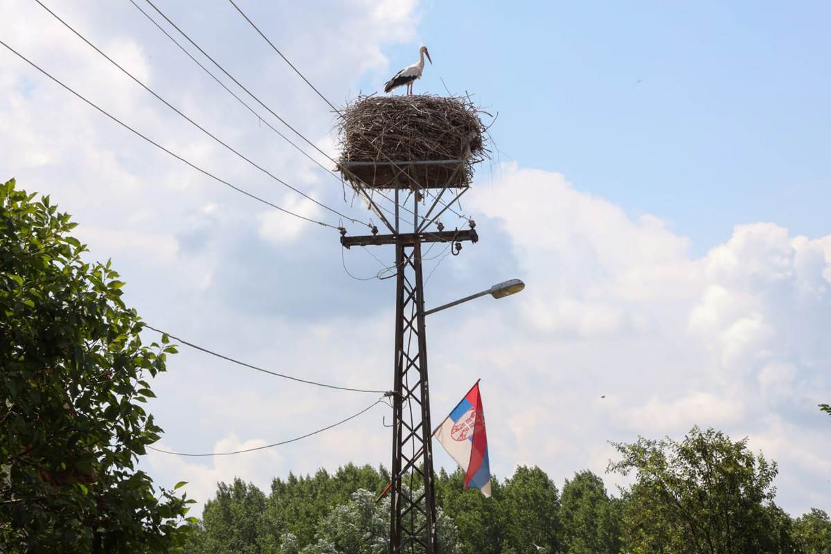 Kuće Noine porodice, Kovilj (4).jpg