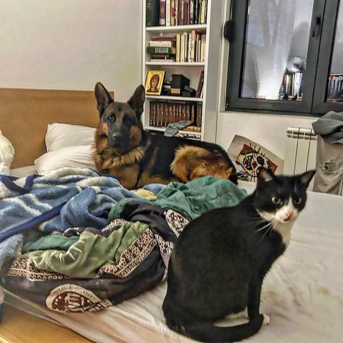 Sergej Trifunovic stan (5).jpg