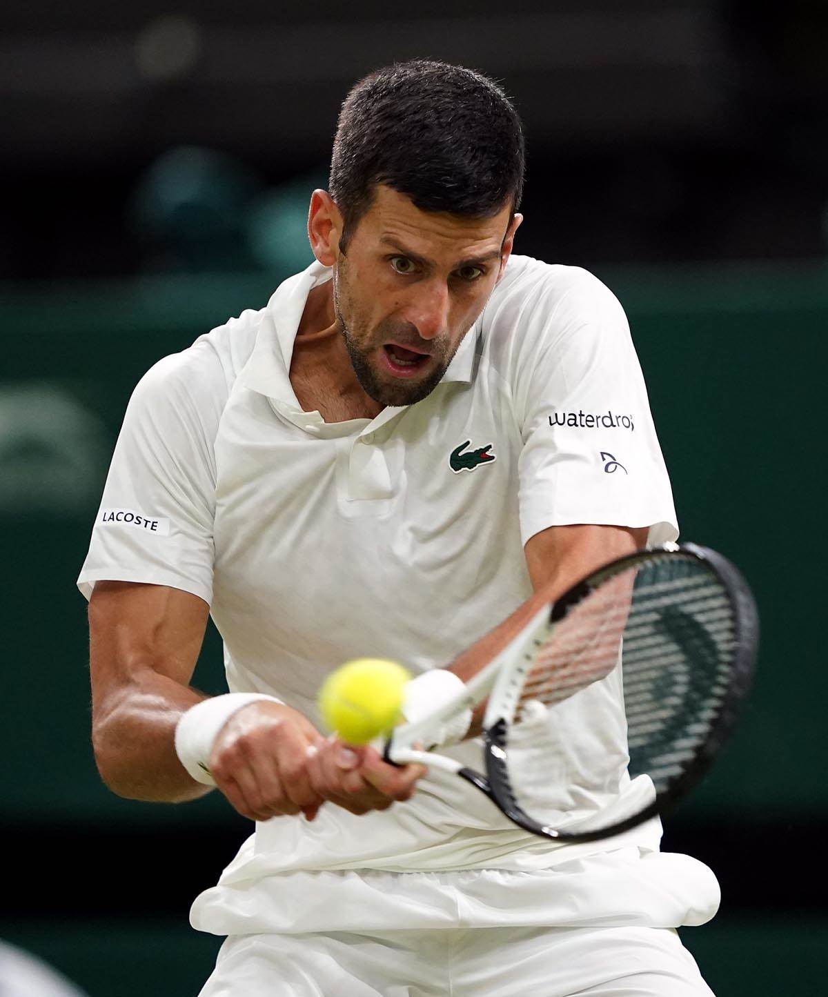 Novak Đoković (5).jpg