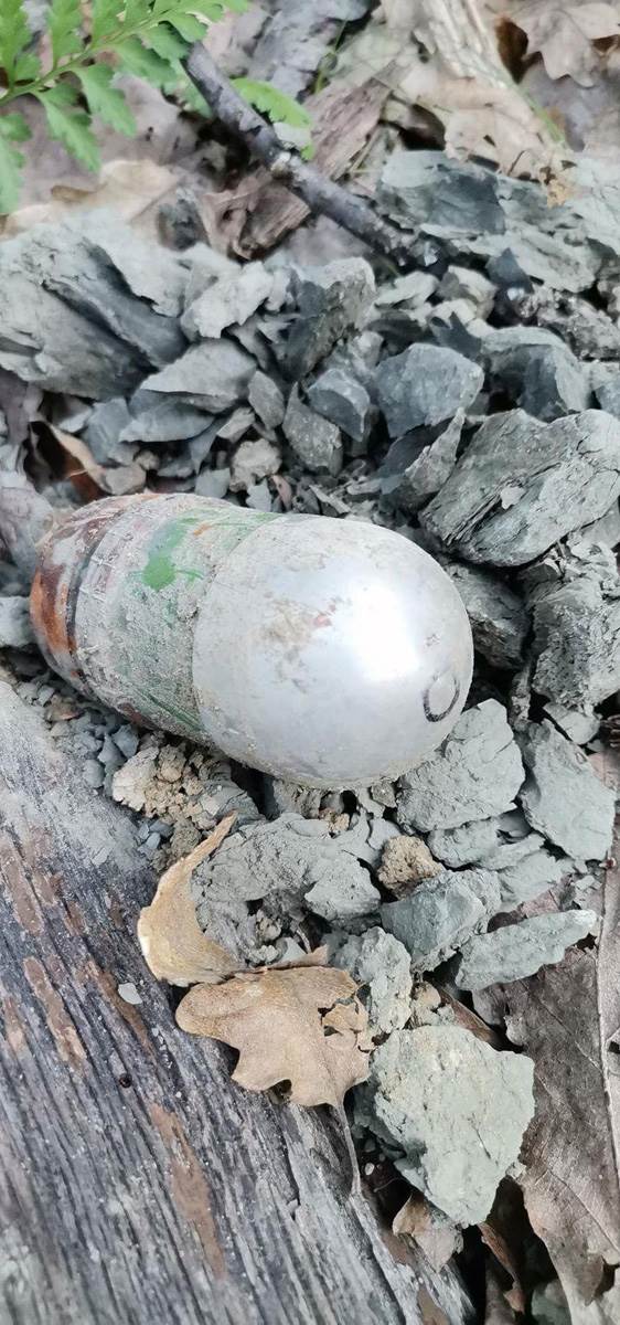 Granate pronašli u šumi dok su brali pečuke (4).jpg