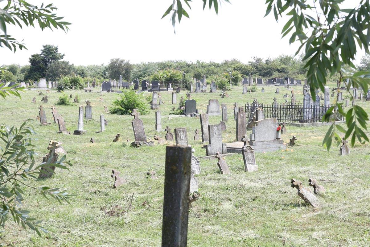 Ispovest drugarice Noe Milivojev