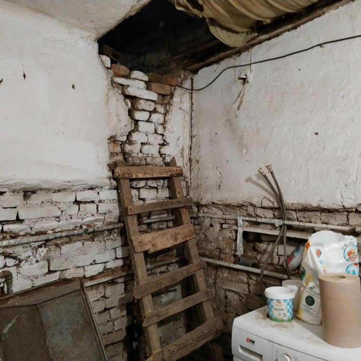 baka                  perunika.jpg