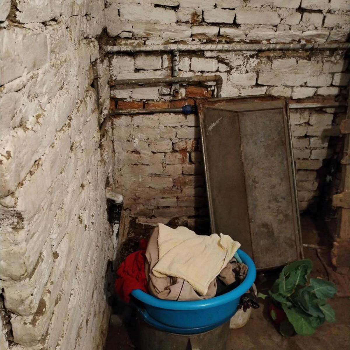 baka          perunika.jpg