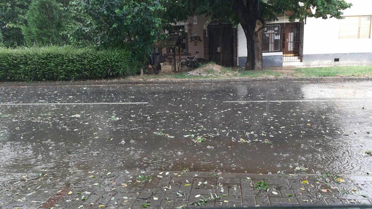 STRAVIČNE POSLEDICE SUPERĆELIJSKE OLUJE U SRBIJI (3).jpg