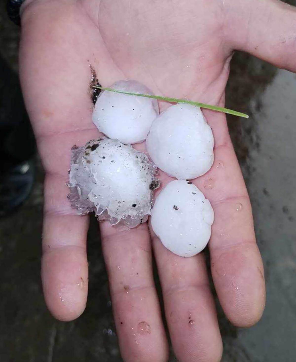 STRAVIČNE POSLEDICE SUPERĆELIJSKE OLUJE U SRBIJI (4).jpg