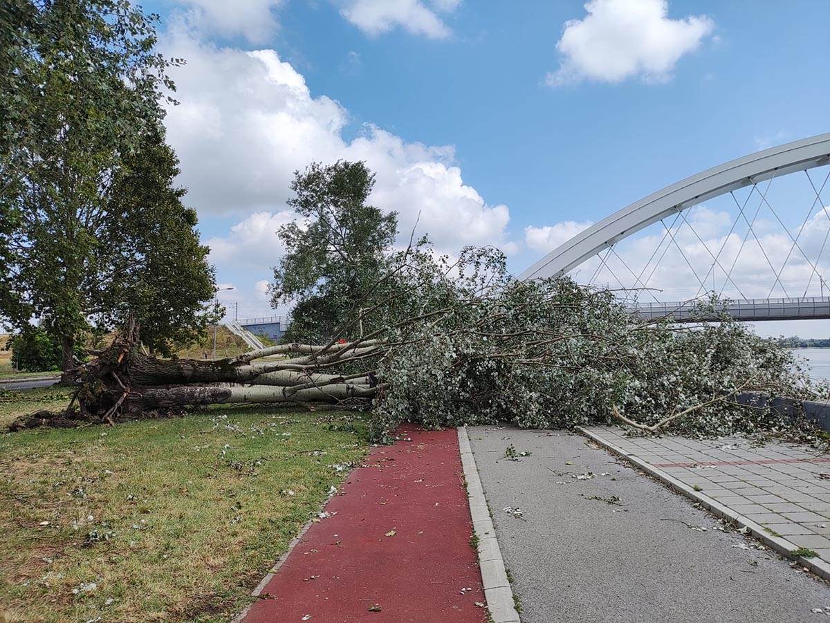 Uništena suvenirnica na Beogradskom keju u Novom Sadu (1).jpg