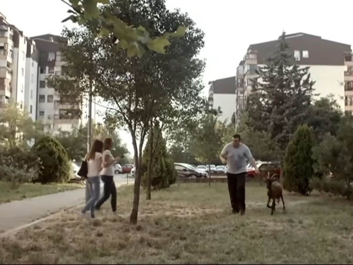 Branko Janković (6).jpg