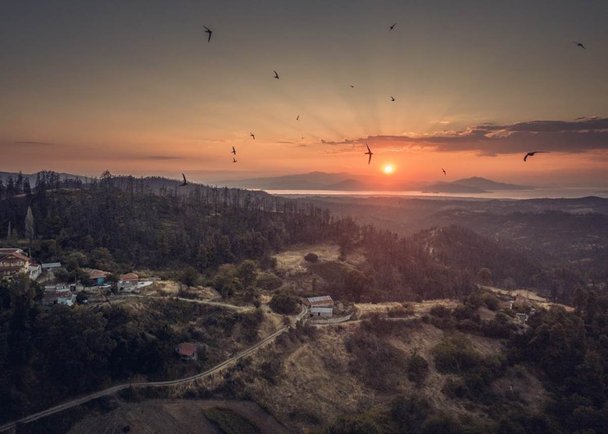 Evia pozar--10.jpg
