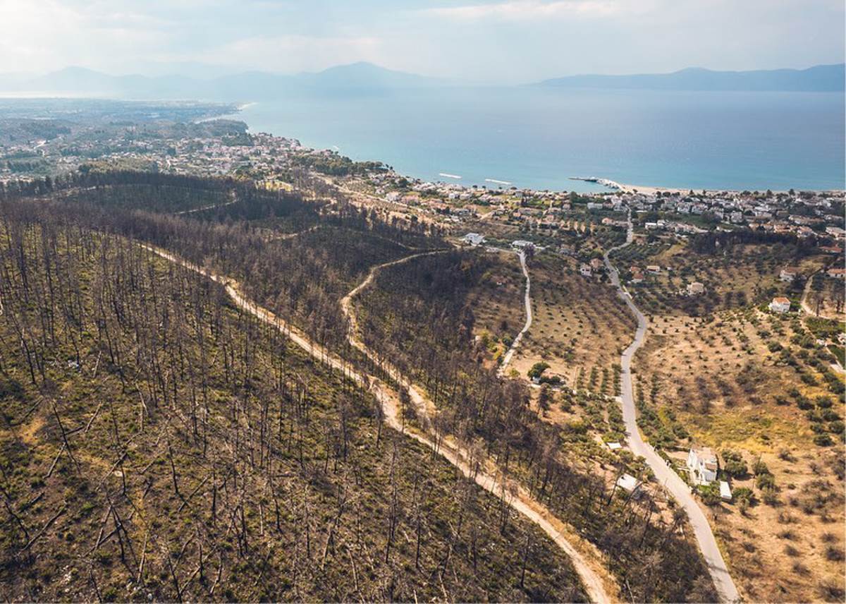 Evia pozar--6.jpg
