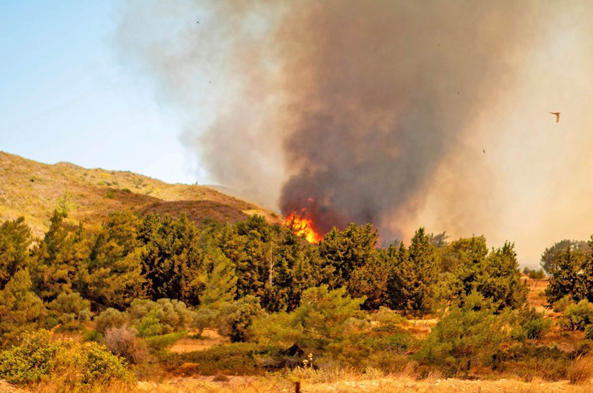 Grčka požari (7).jpg