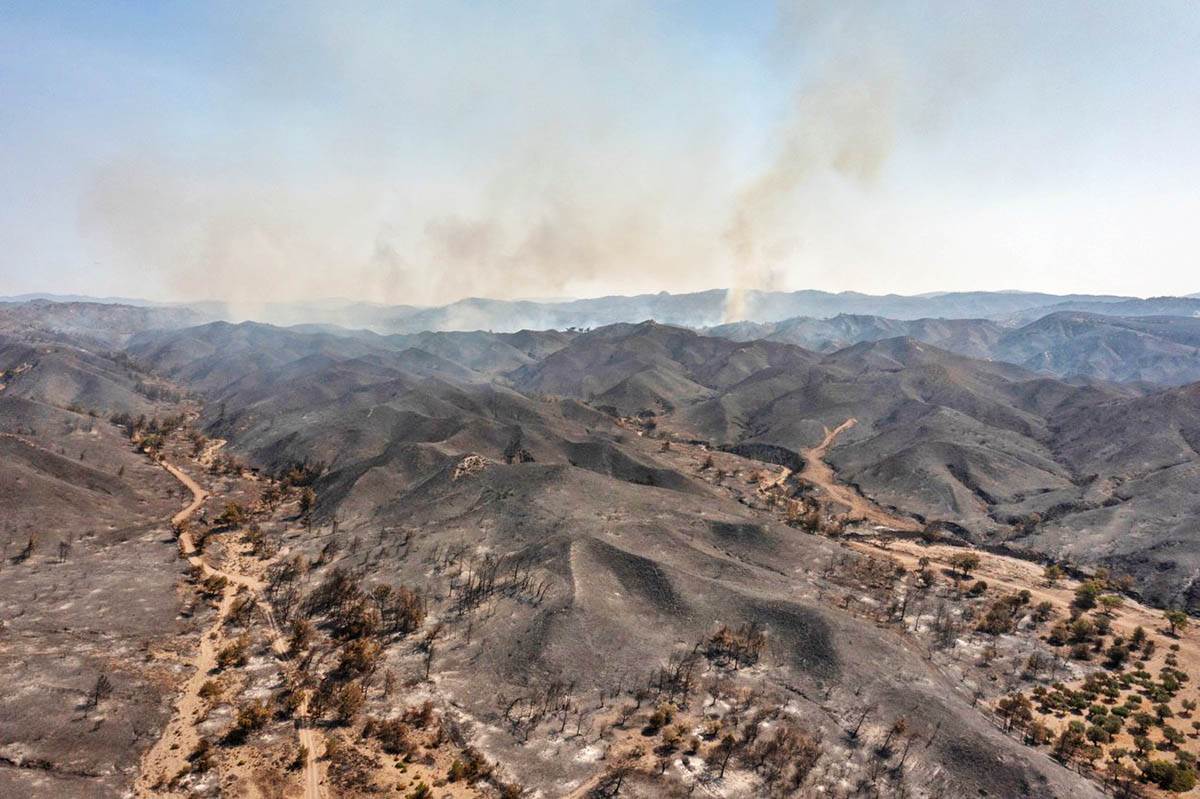 Grčka požari (10).jpg