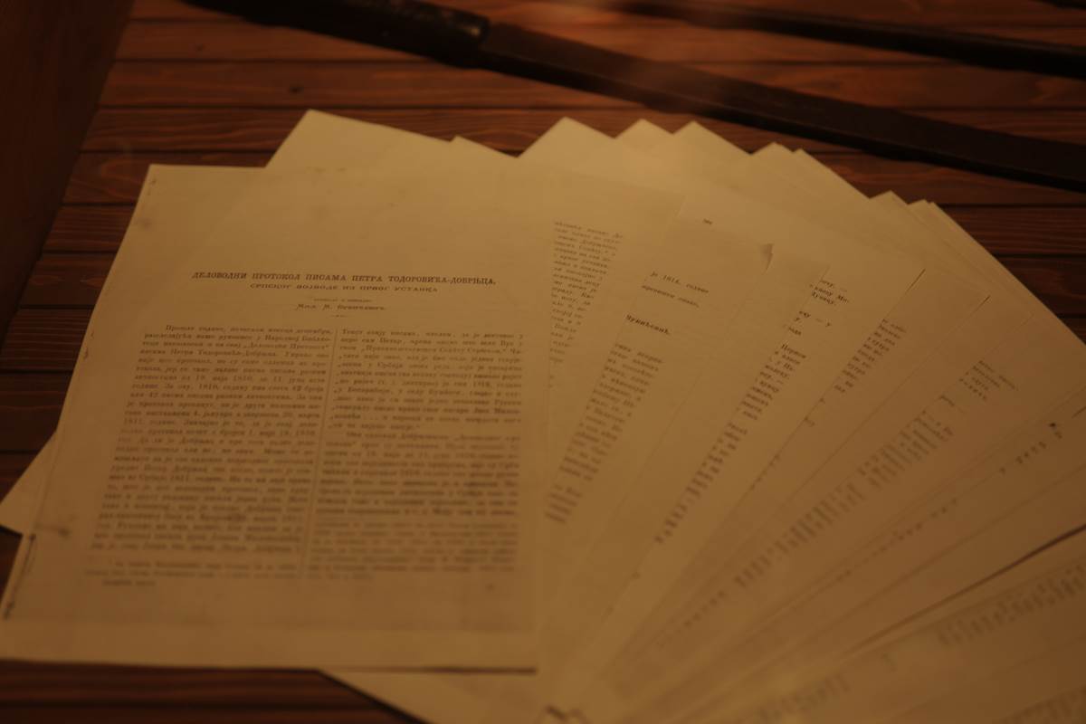 Petar Dobrnjac, manifestacija, Dobrnje 18.jpg