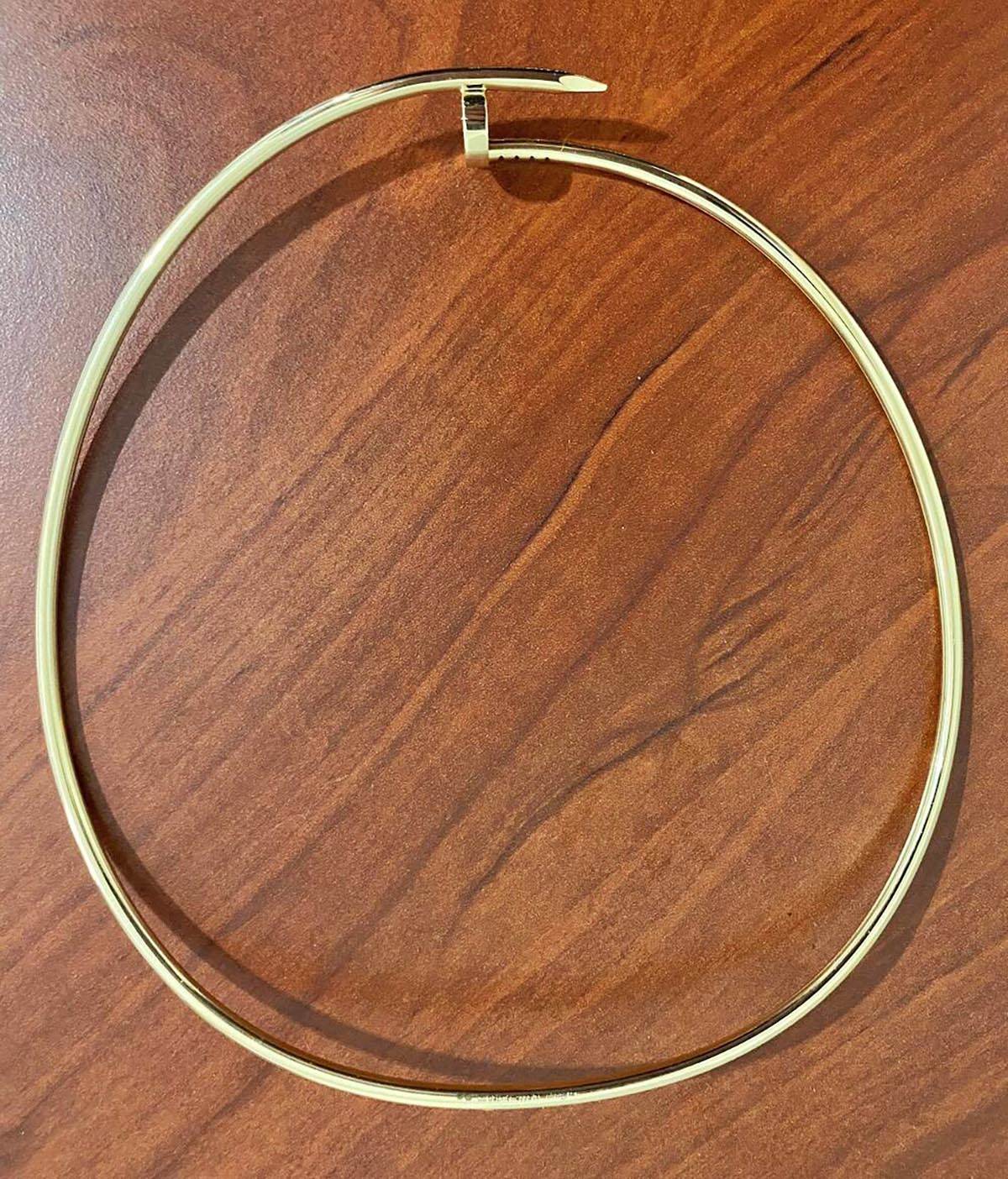 Zaplena carina (5).jpg