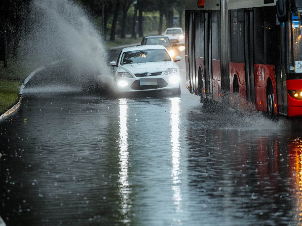 jezero kod sajma-15.jpg