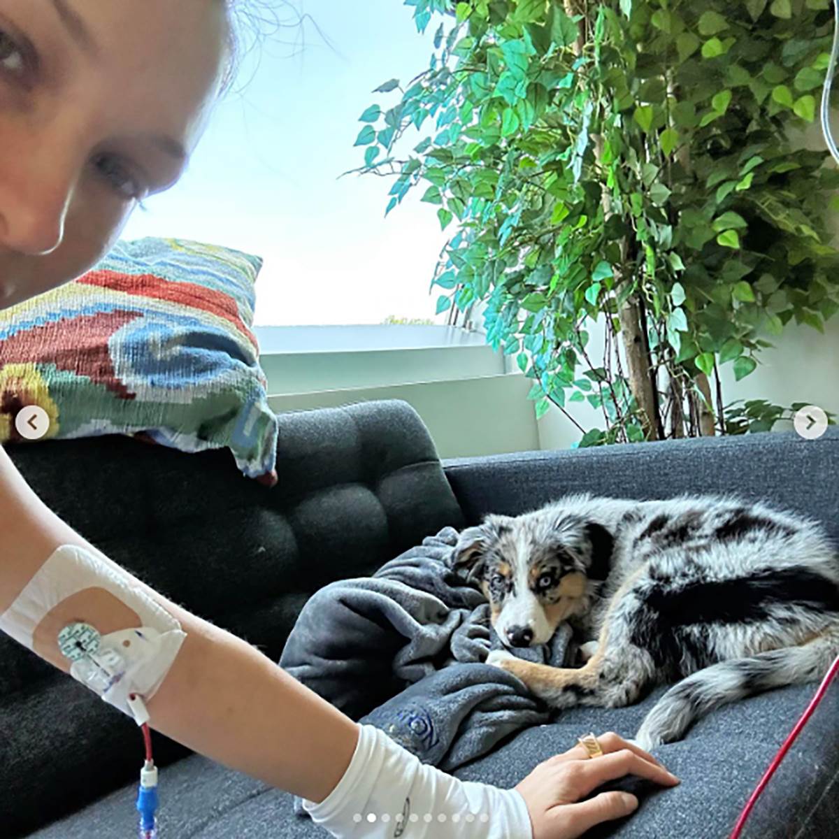 Nalazi Bele Hadid (9).png