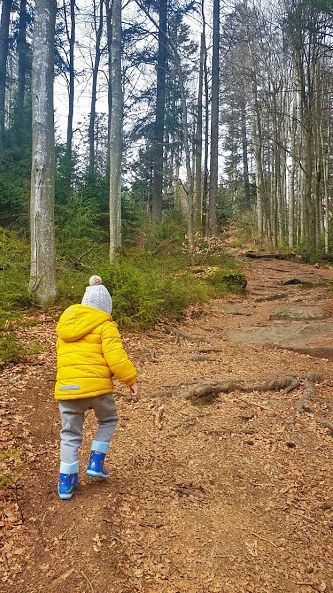 Ognjen Zivkovic (4).jpg