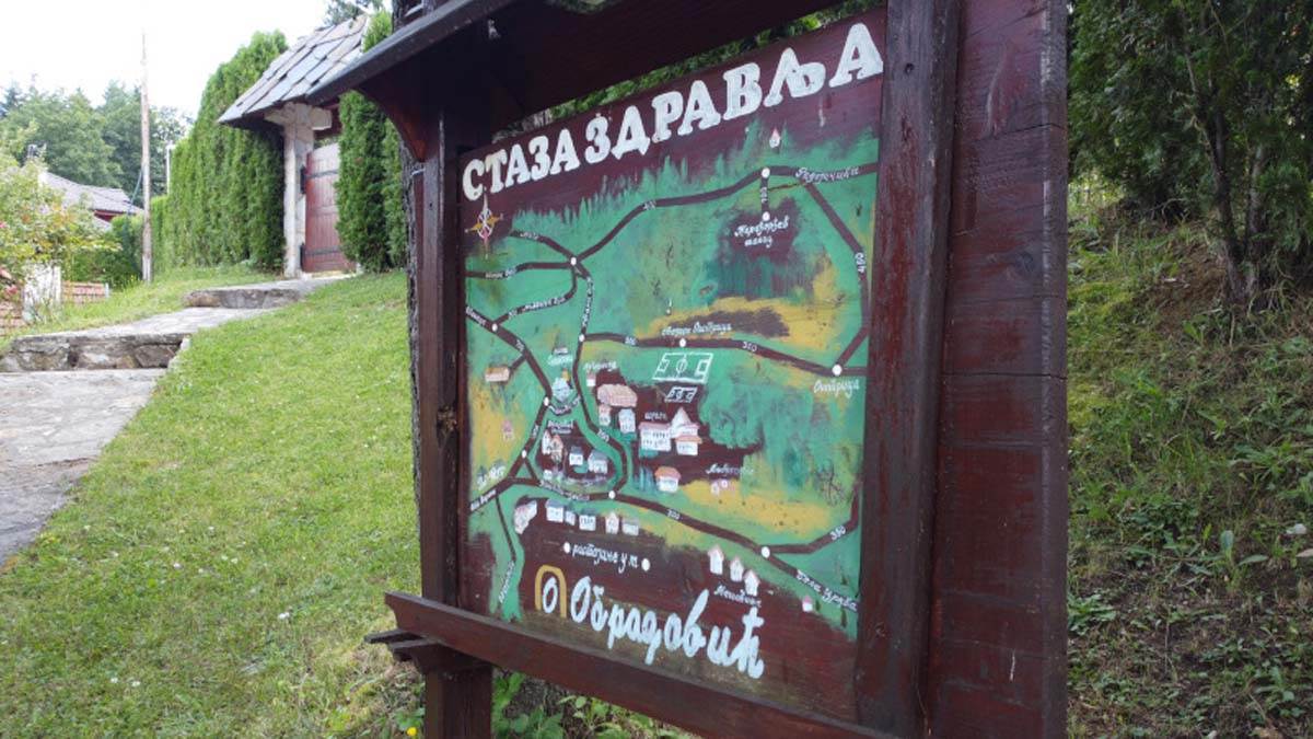 1691486141OBRADOVICI-FOTO-RINA.jpg