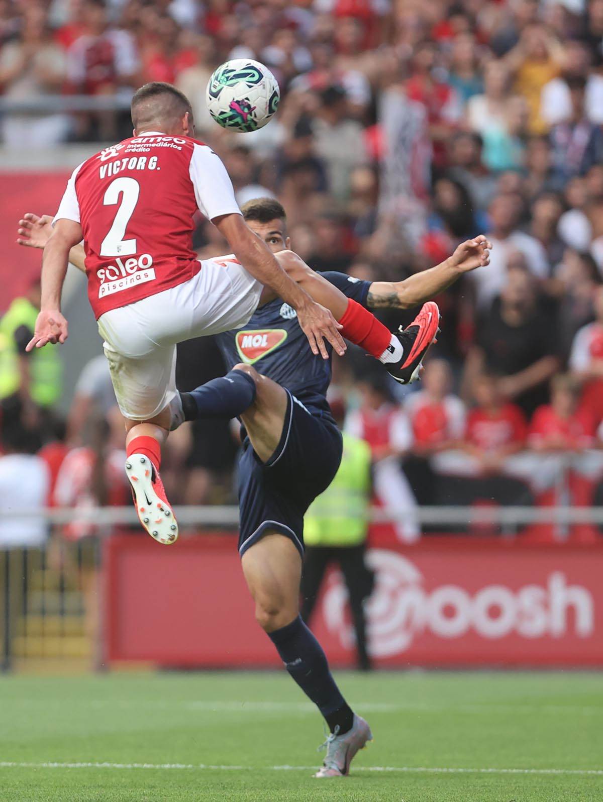 Bačka Topola BRAGA (11).jpg