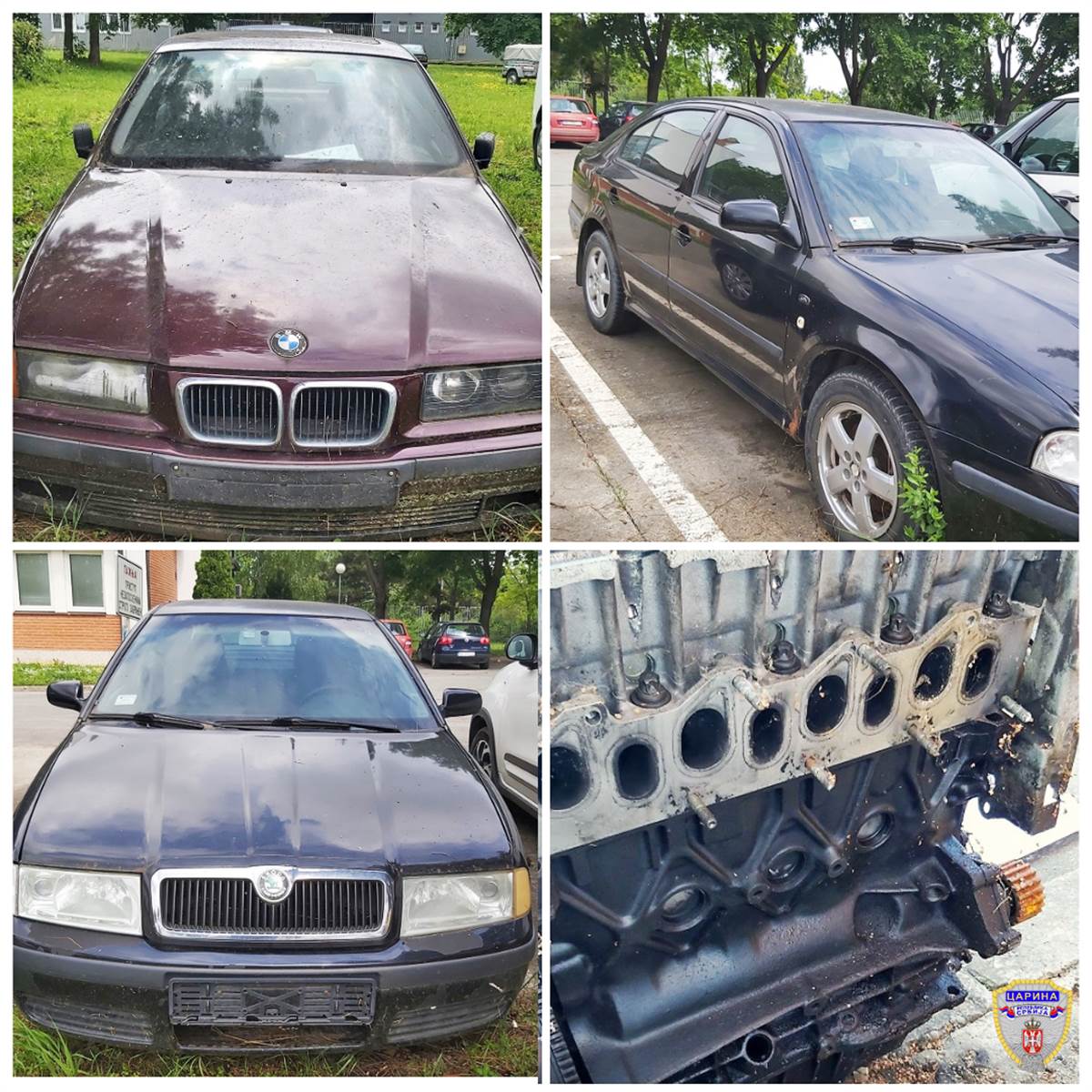 Carina Sombor (2).png