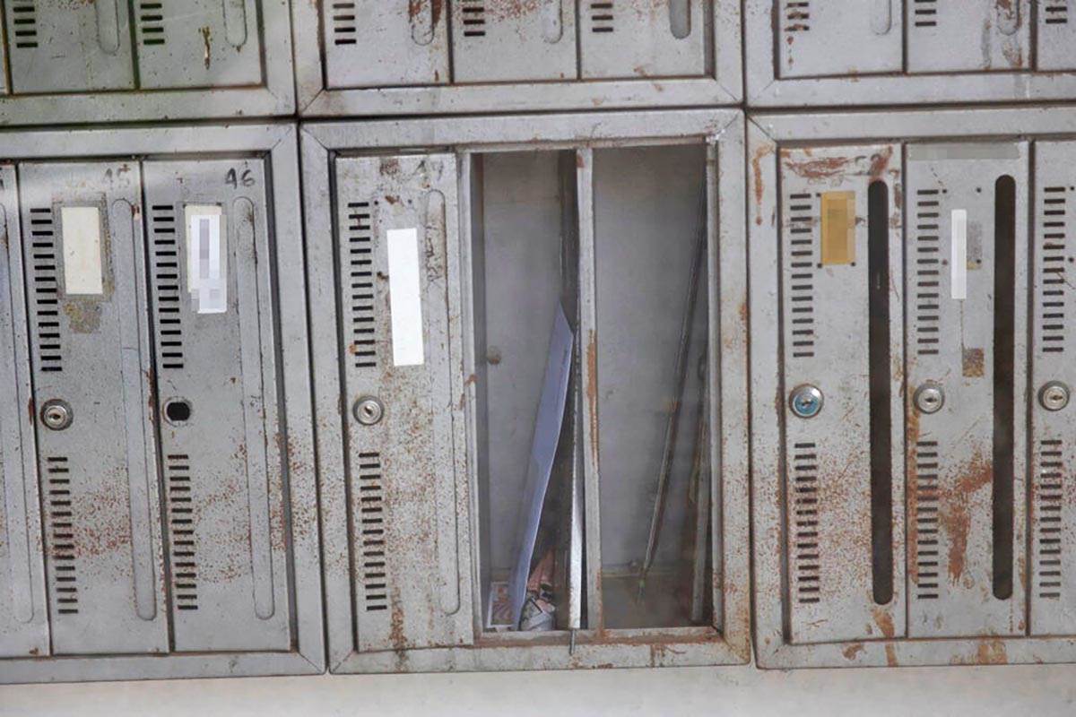 Stan Popovic Milene (8).jpg