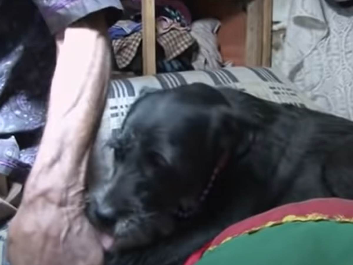 kuca kanalizacija.png