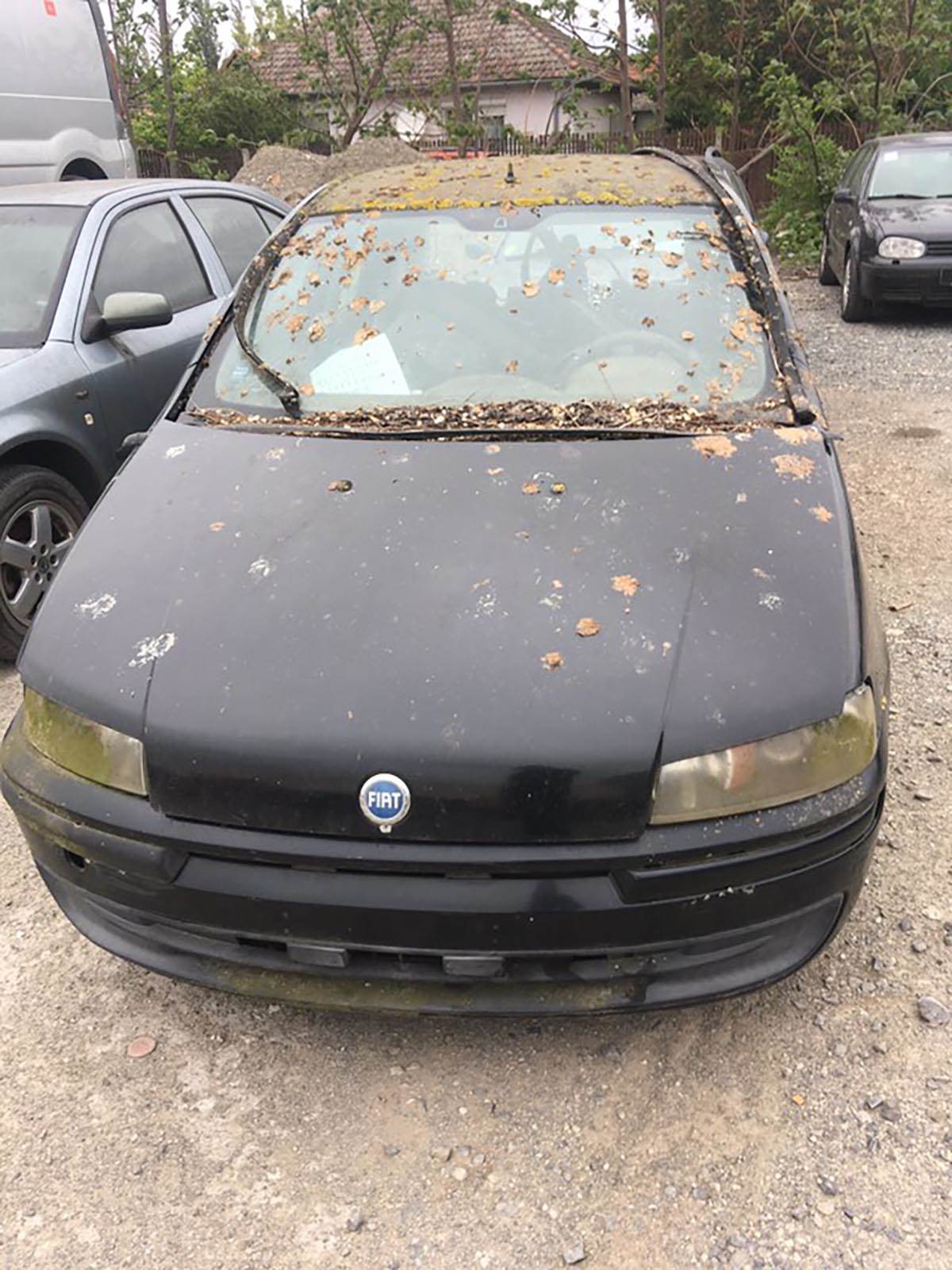 Carina Subotice organizuje licitaciju (7).jpg