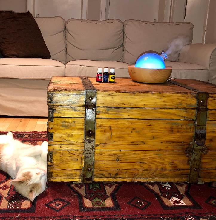 Mirjana Memedović 12.png