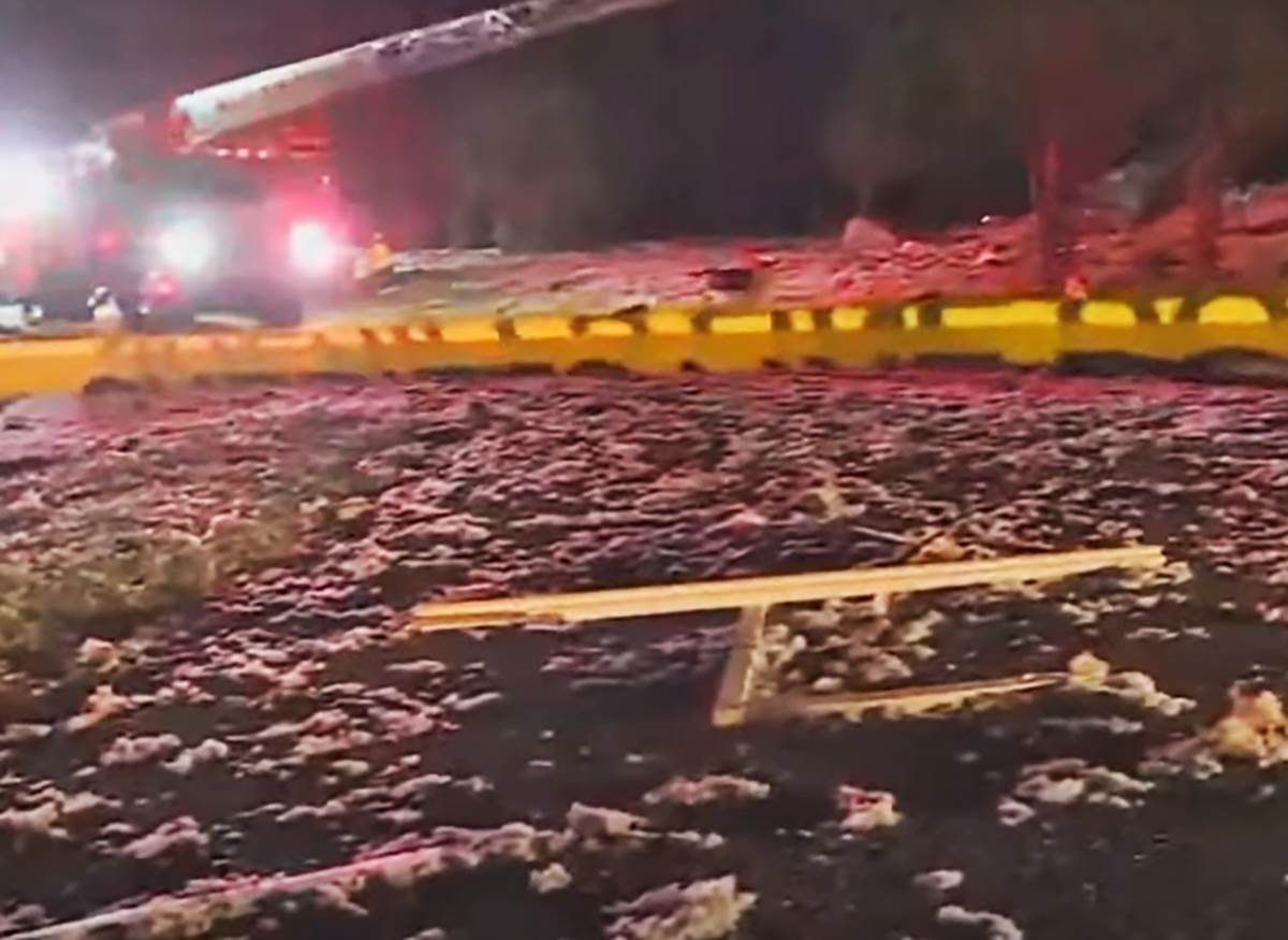 Severna Karolina (5).png