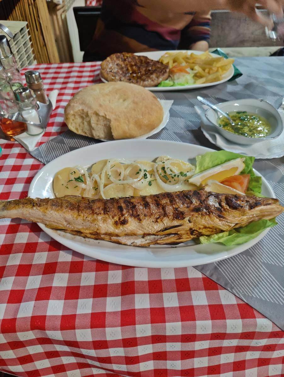 Profesor istorije se preselio iz Beograda u Golubac i sad ima 2 broda i apartmane