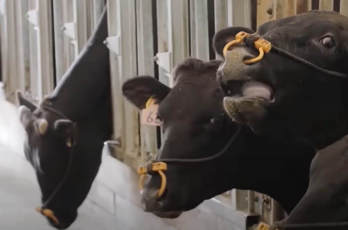 Screenshot 2023-09-05 145920.jpg