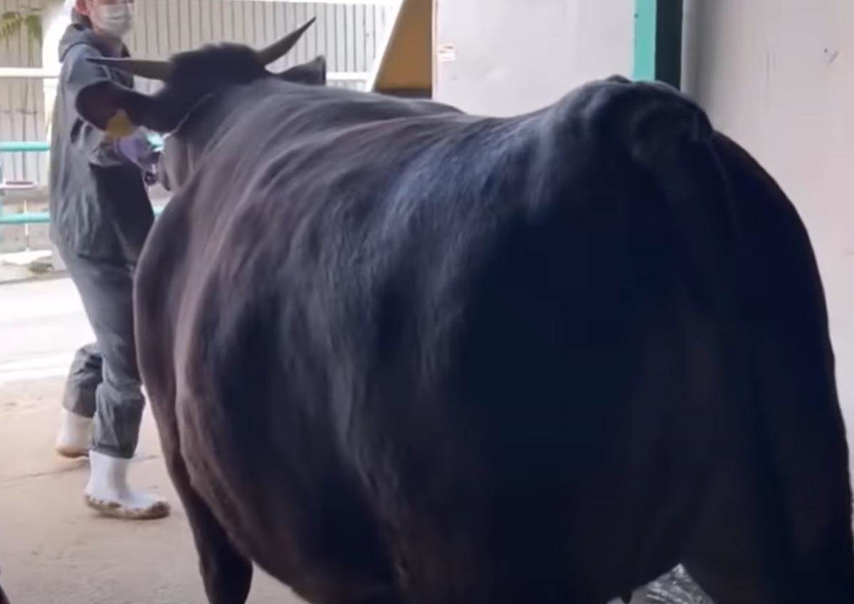 Screenshot 2023-09-05 145928.jpg