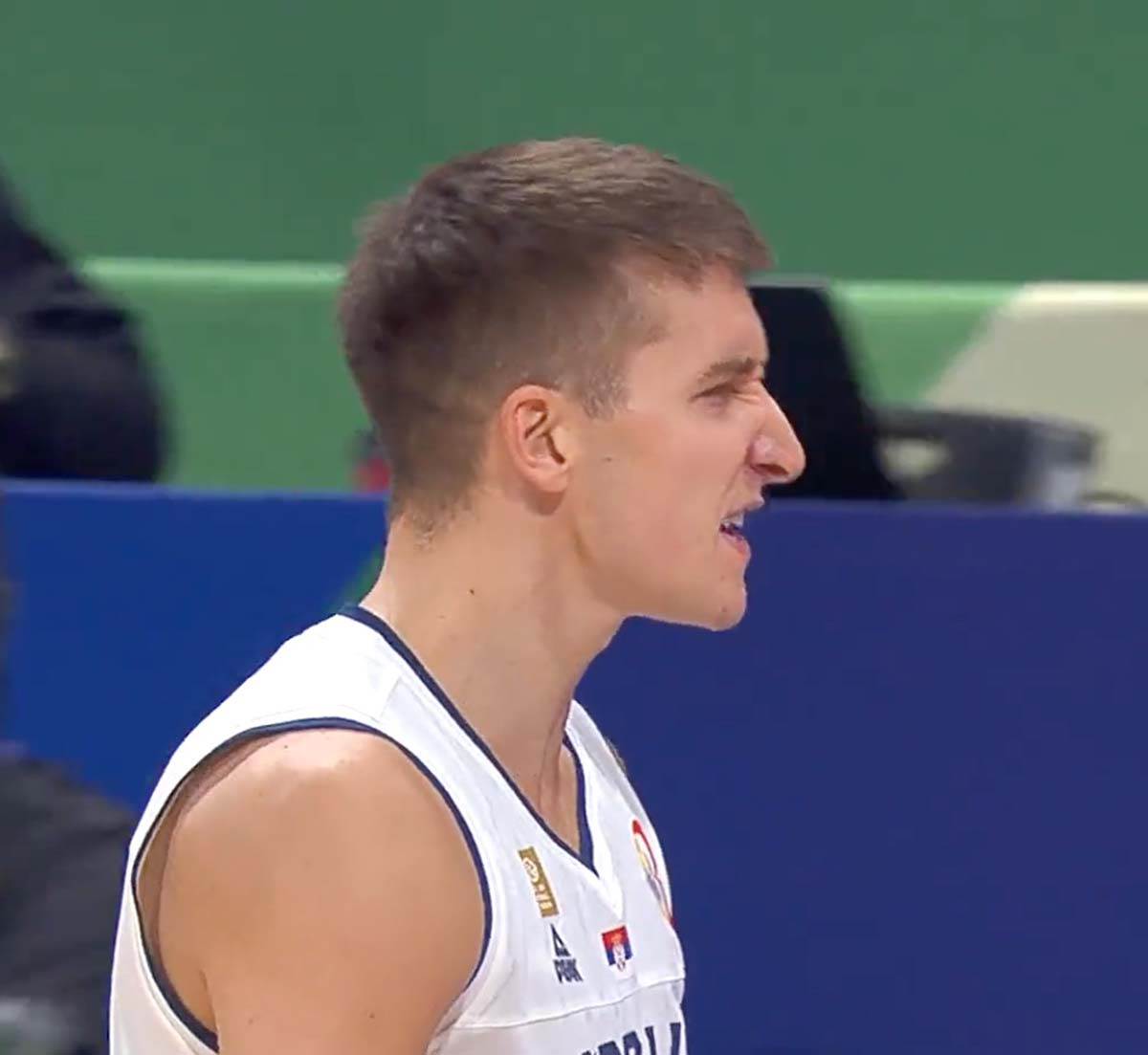Bogdan Bogdanović 6.jpg