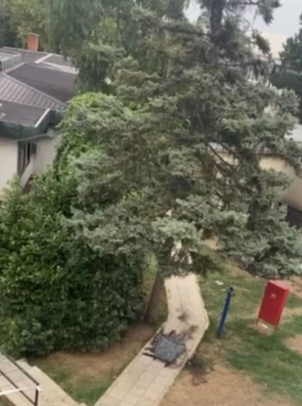 Čovek koji se samozapalio 3.jpg