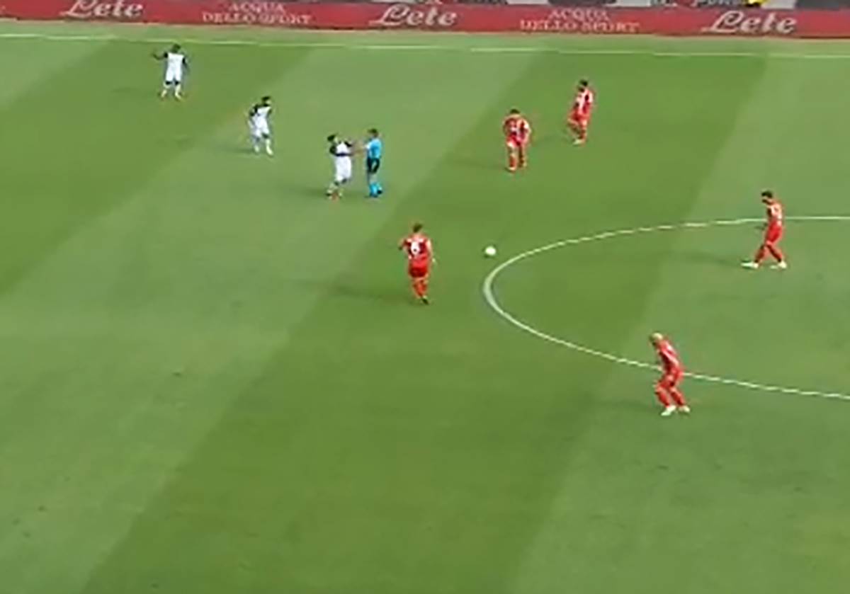 Nikola Krstović (7).png