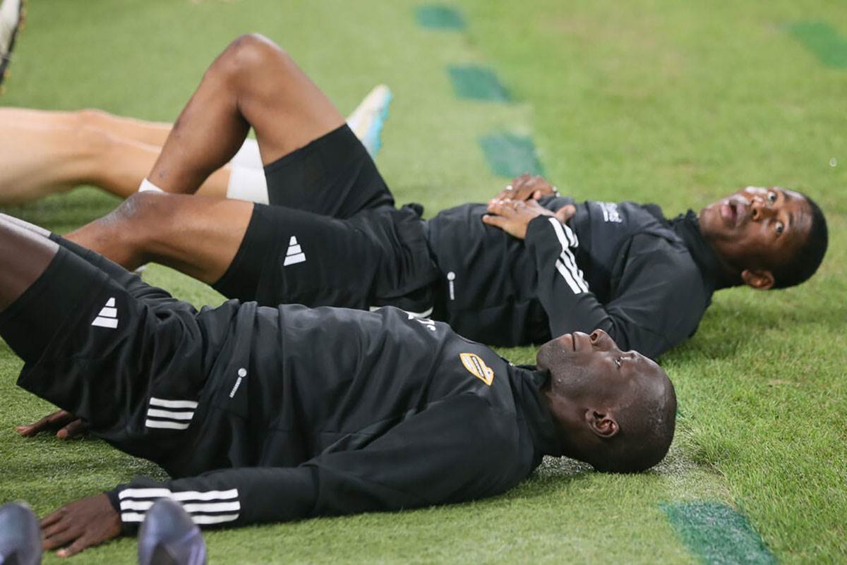 Fudbaleri Čukarićkog (29).jpg