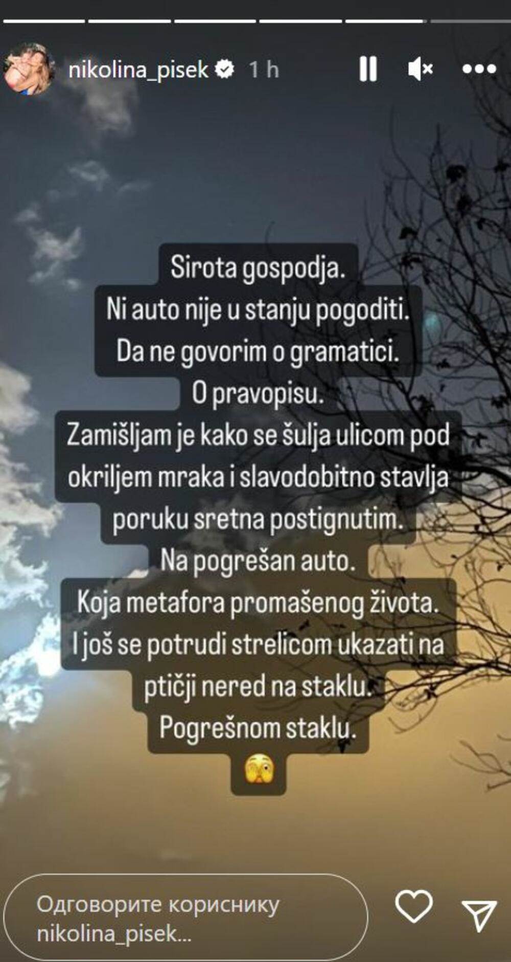 nikolina pišek3.jpg