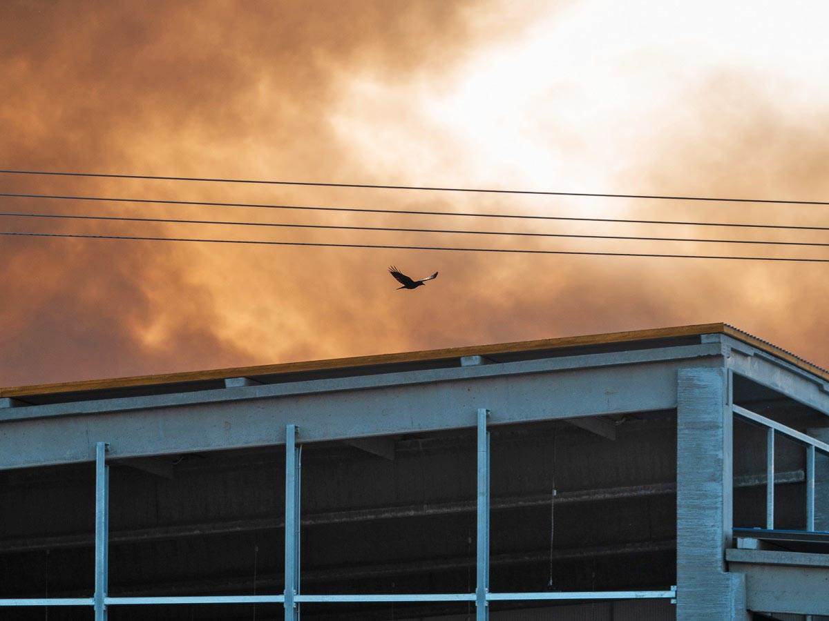 Požar Osijek (10).jpg