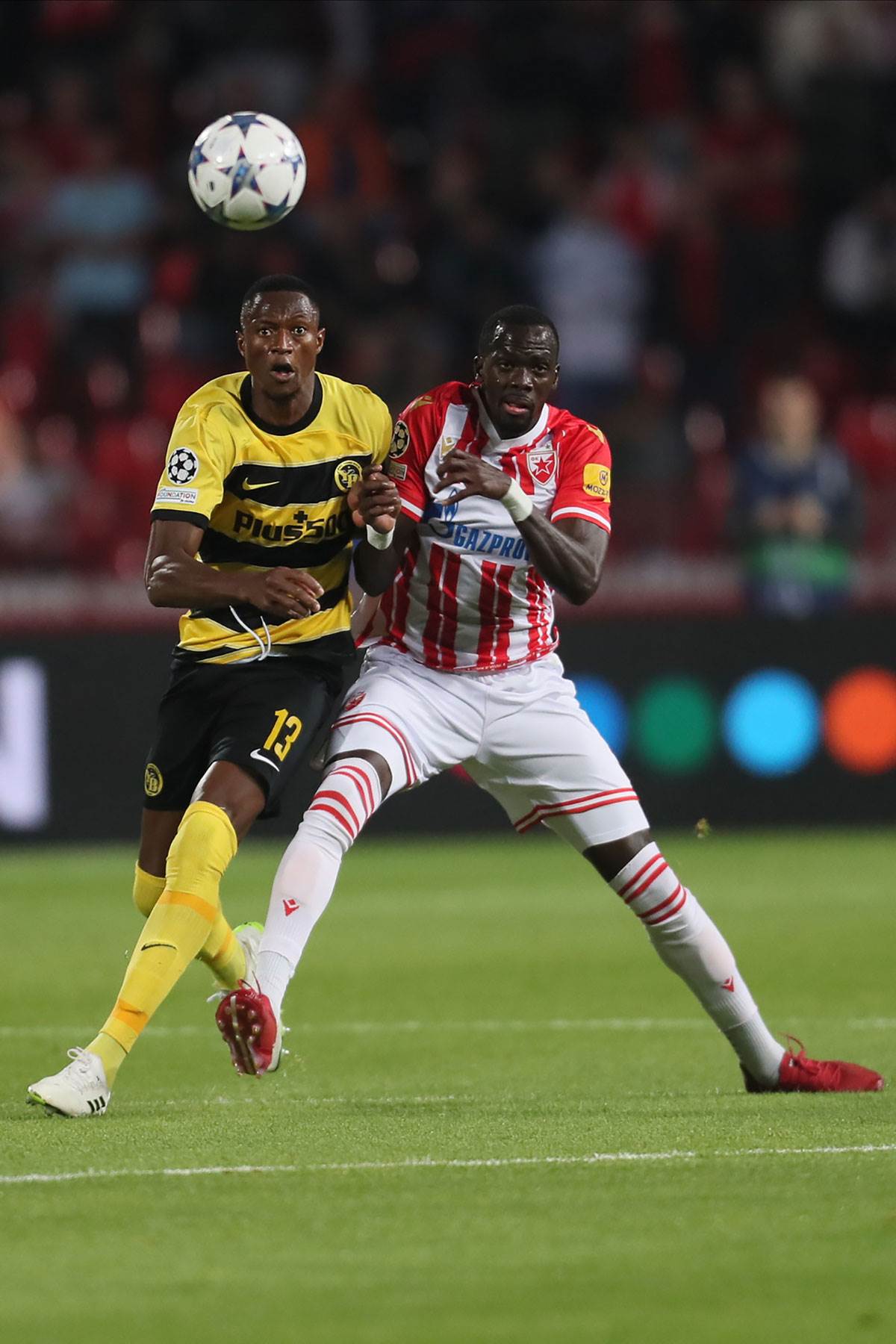 CRVENA ZVEZDA YOUNG BOJS  (3).jpg