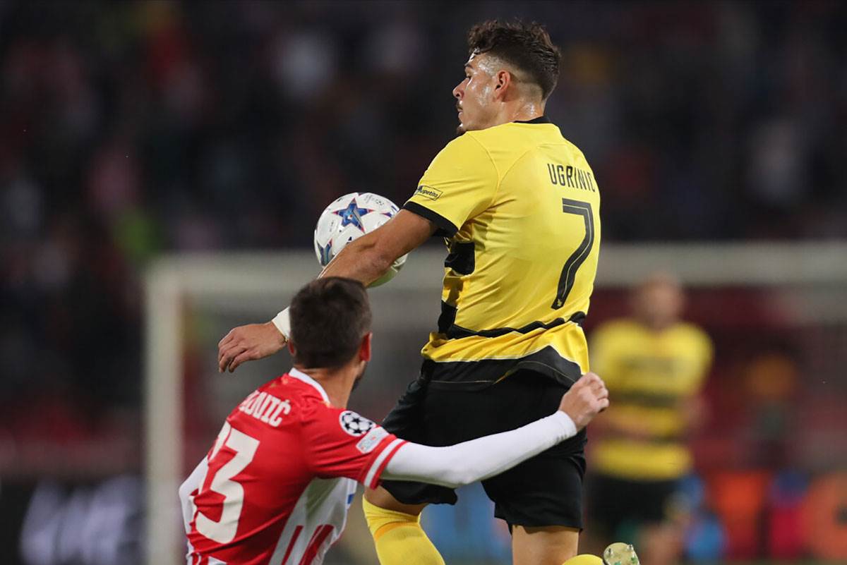 CRVENA ZVEZDA YOUNG BOJS  (4).jpg