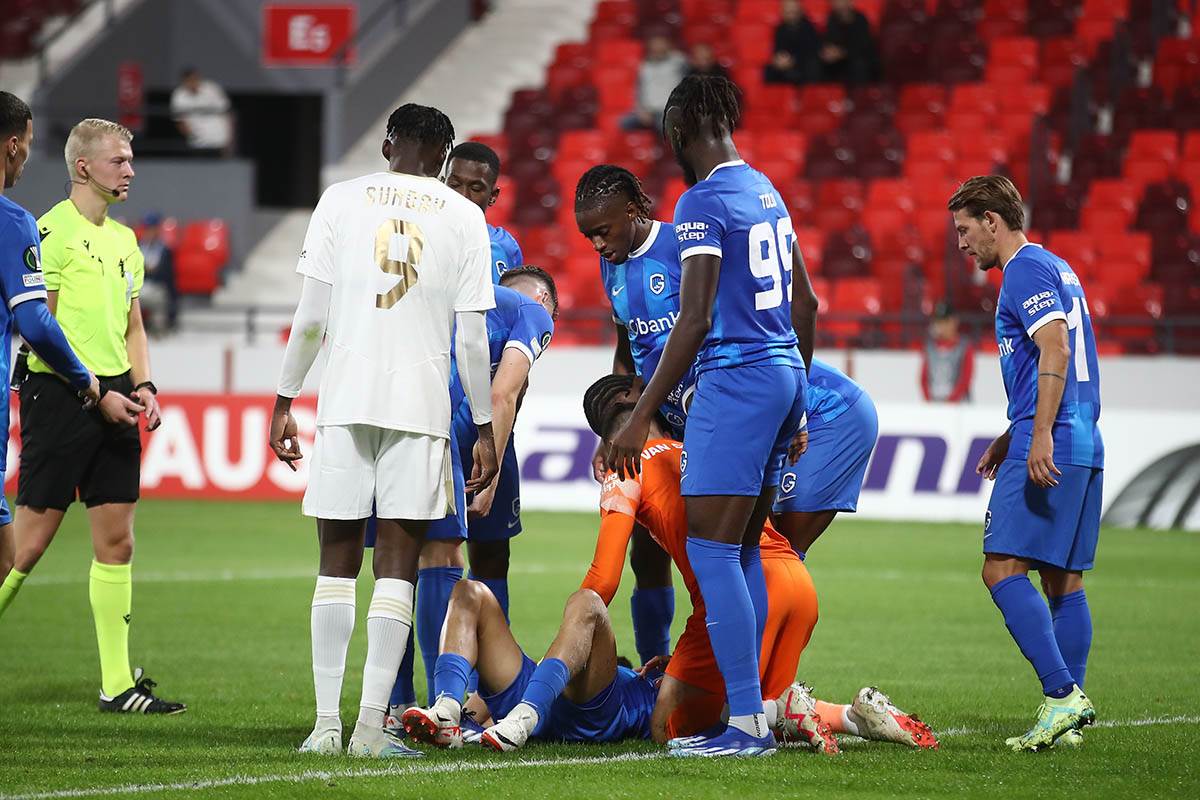 čukarički genk 3.jpeg