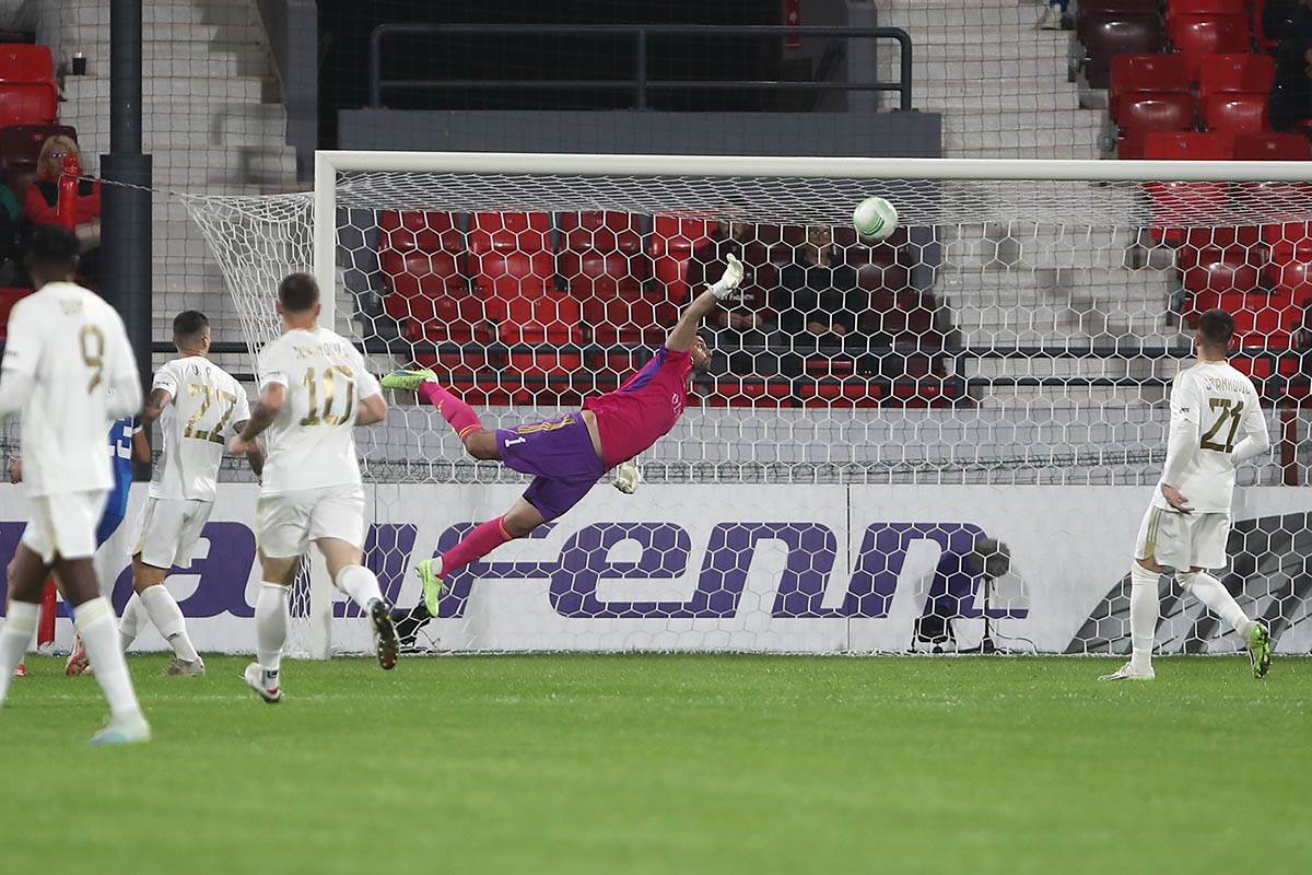 čukarički genk 6.jpeg