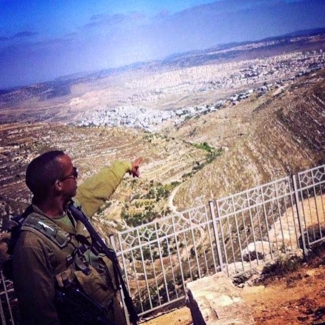 [image] - 7424121.jpeg