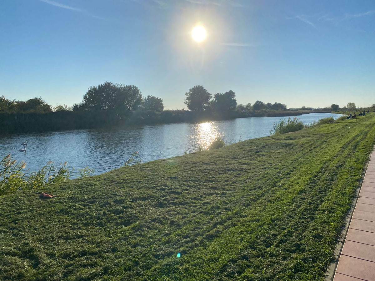 Ptičiji grip u Borči