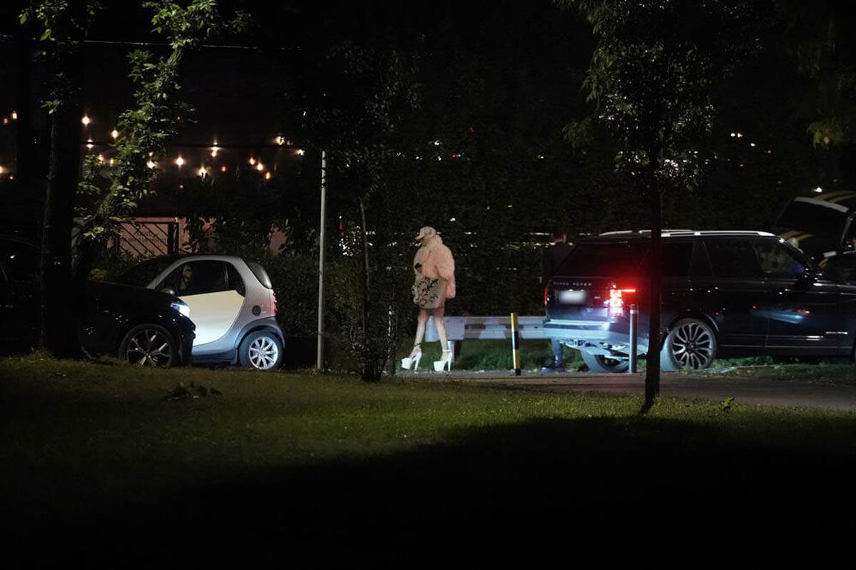 Jelenu Karleušu zaustavila policija