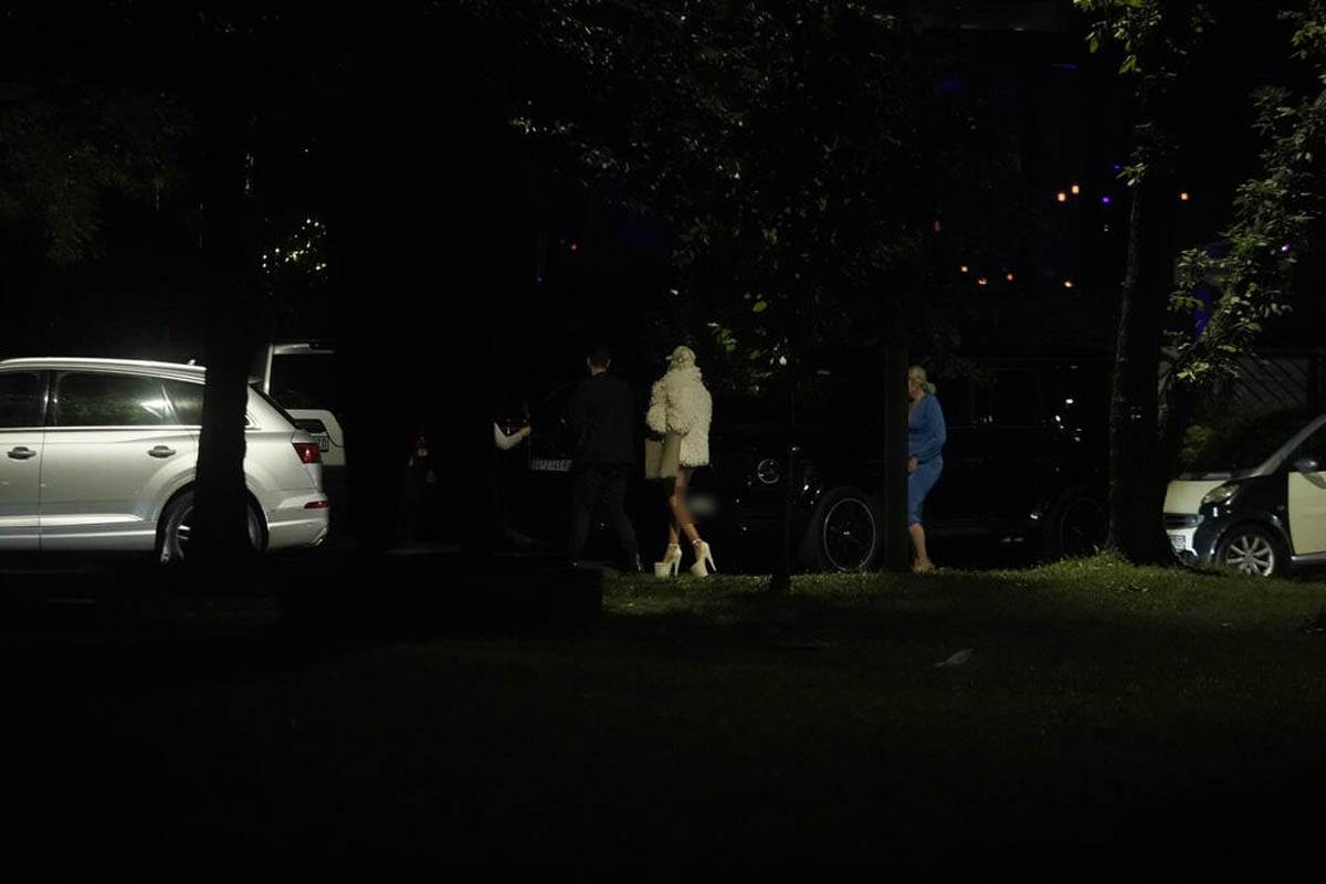 Jelenu Karleušu zaustavila policija